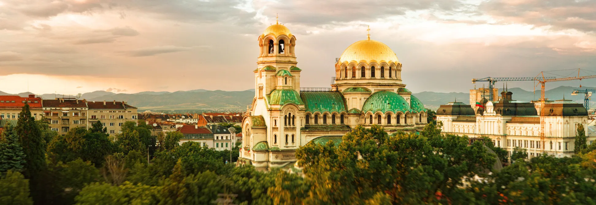 Sofia