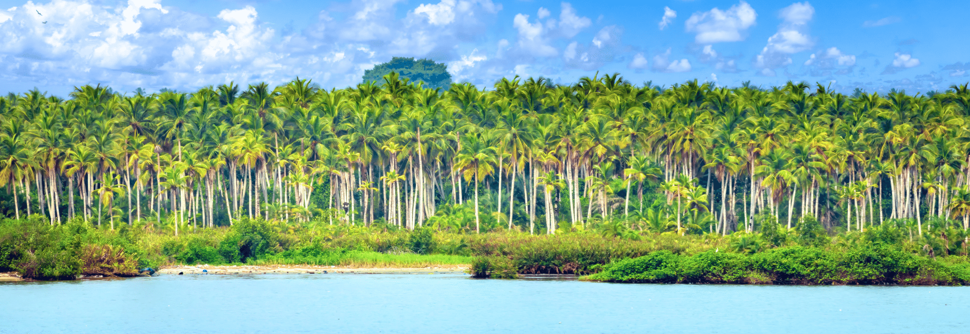 Ivory Coast